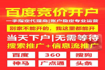 百度竞价广告运营的技巧与误区：成功案例解析